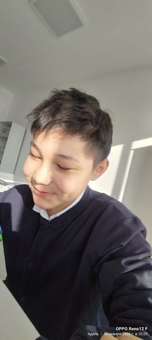 Продаю хомяка породестый