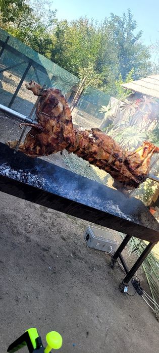 Tudor protap pt evenimentul tău