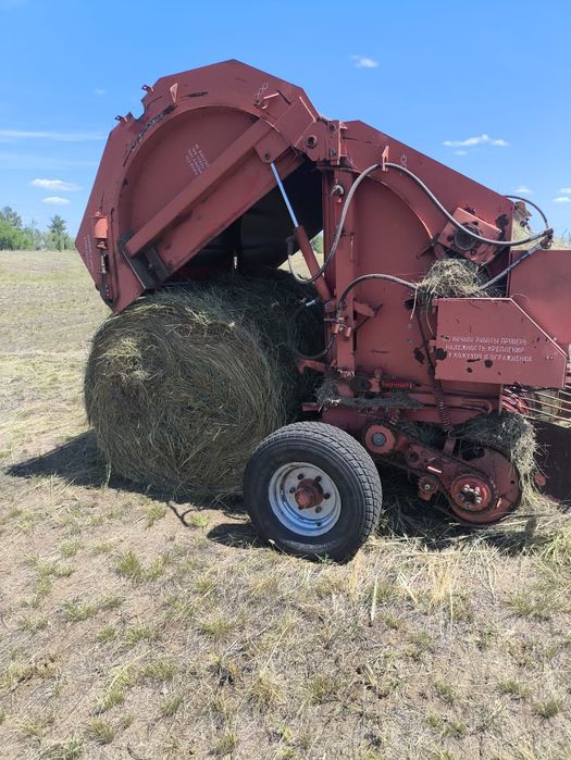 Продам сено в рулонах