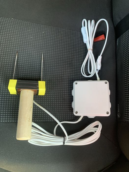 Asomator porci animale