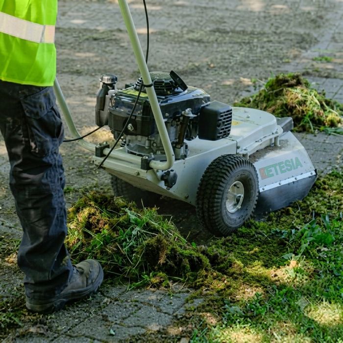 Cositoare pentru pavaje si borduri Etesia MBR50
