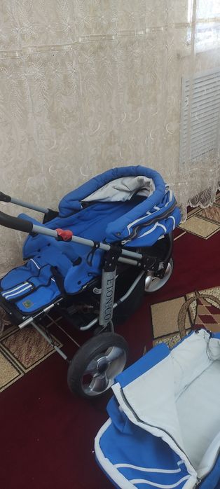 Коляска ETONICO зима-лето