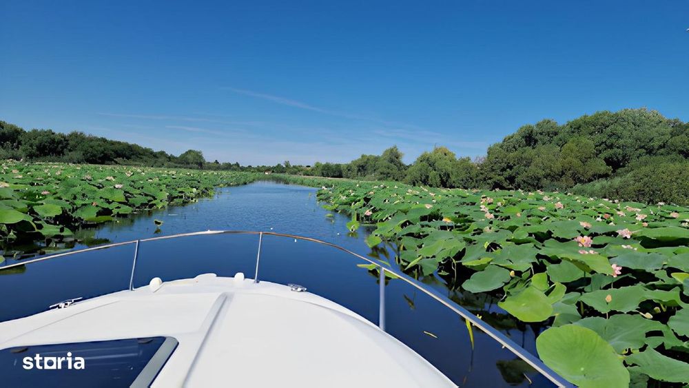 Teren Premium 2.000 mp > Deschidere 20m la Lac Snagov – Tâncăbești