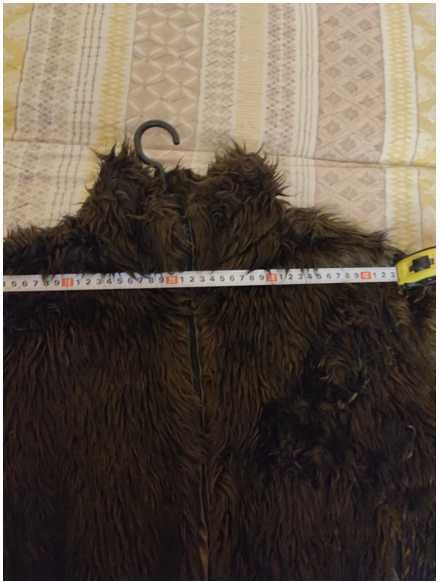 късо яке пролет/есен