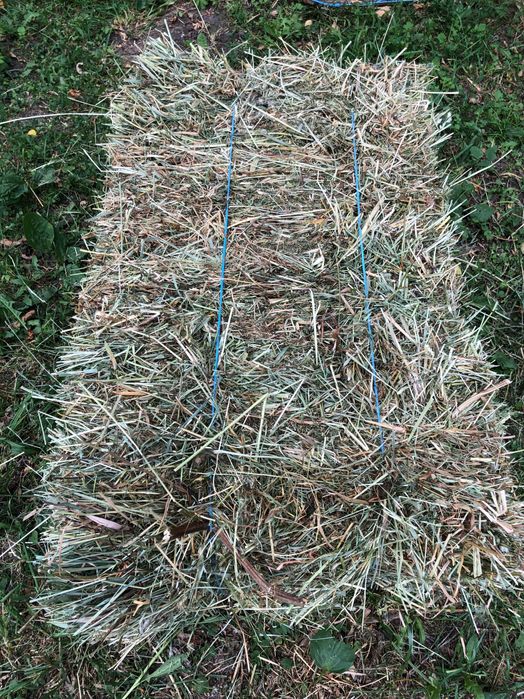 Vând baloti dreptunghiulari de fân