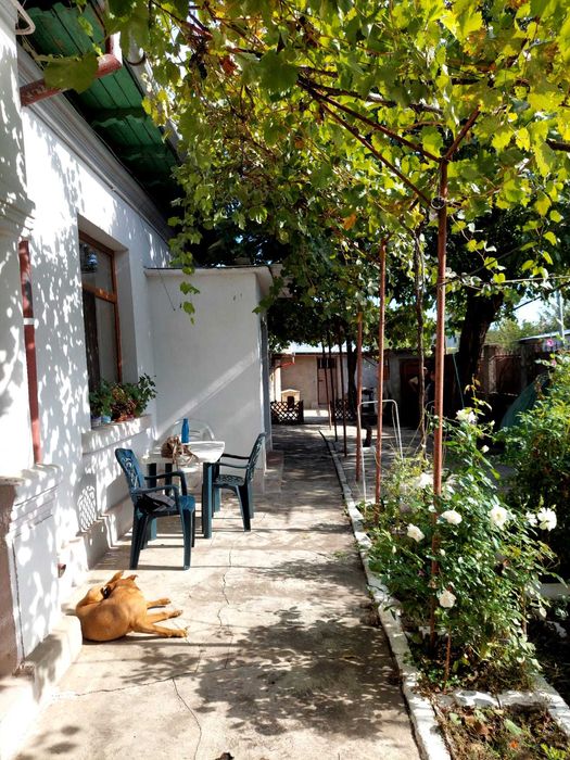 Casă + teren generos în zona centrală, Brăila