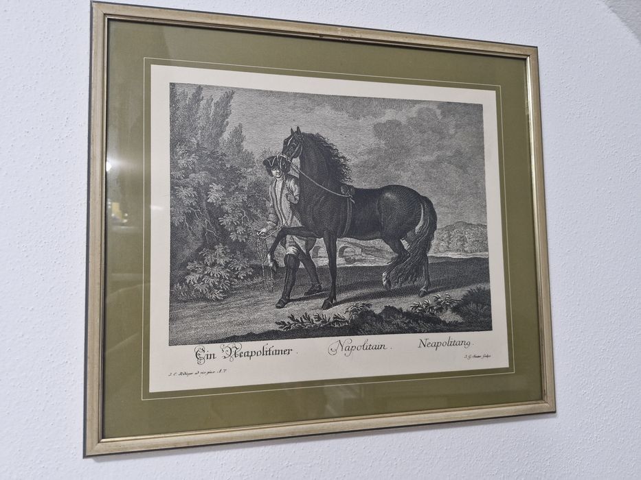Tablou Gravură Johann Elias Ridinger