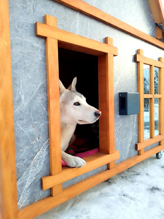 Будка (домик) для собак