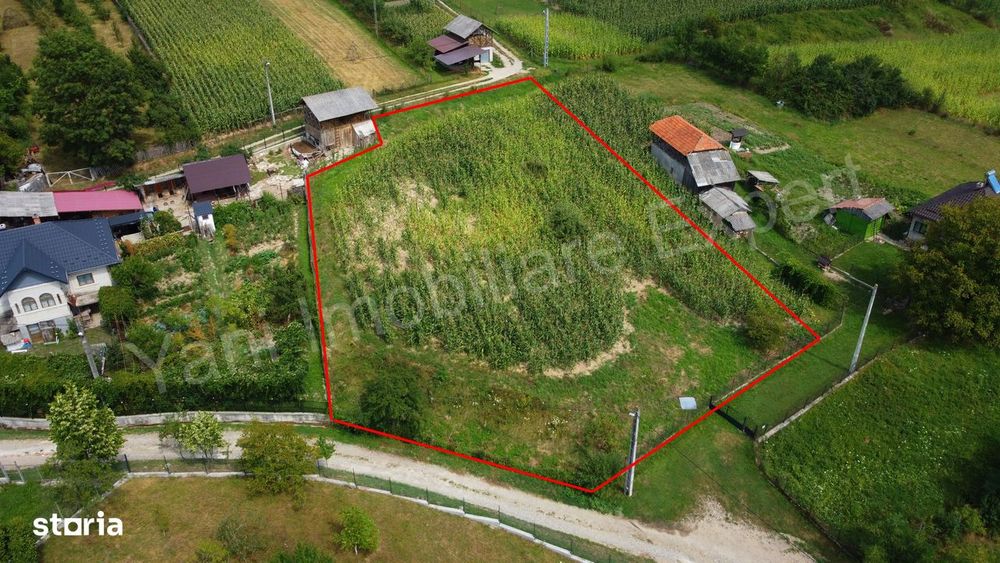 Teren de vânzare în comuna Băiculești, sat Tutana, județ Argeș.