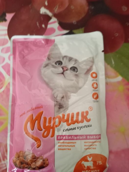 Продам кошачий корм желе Мурчик