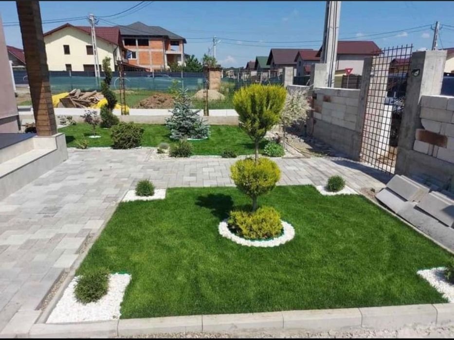 Rulouri de gazon Plante ornamentale
