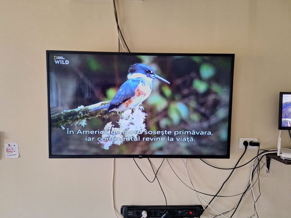 Televizorul LG smart, cu diagonală de 139 cm și rezoluție FullHD,  1000 lei.