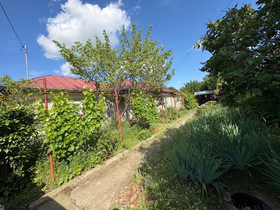 Casa de vanzare Alexandria