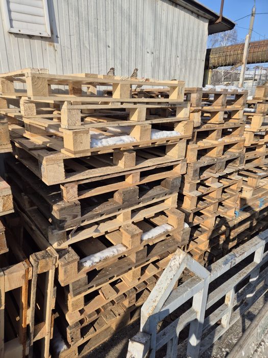 Vind paleti 5 lei Bucata