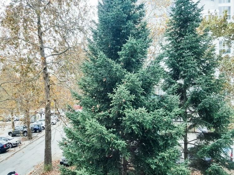 Тристаен апартамент, от собственик