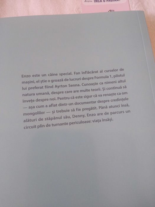Cartea Pilotând in ploaie de Garth Stein