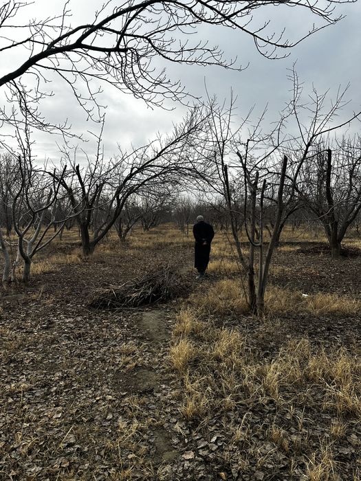 10 йиллик чорбоғ ижарага берилади