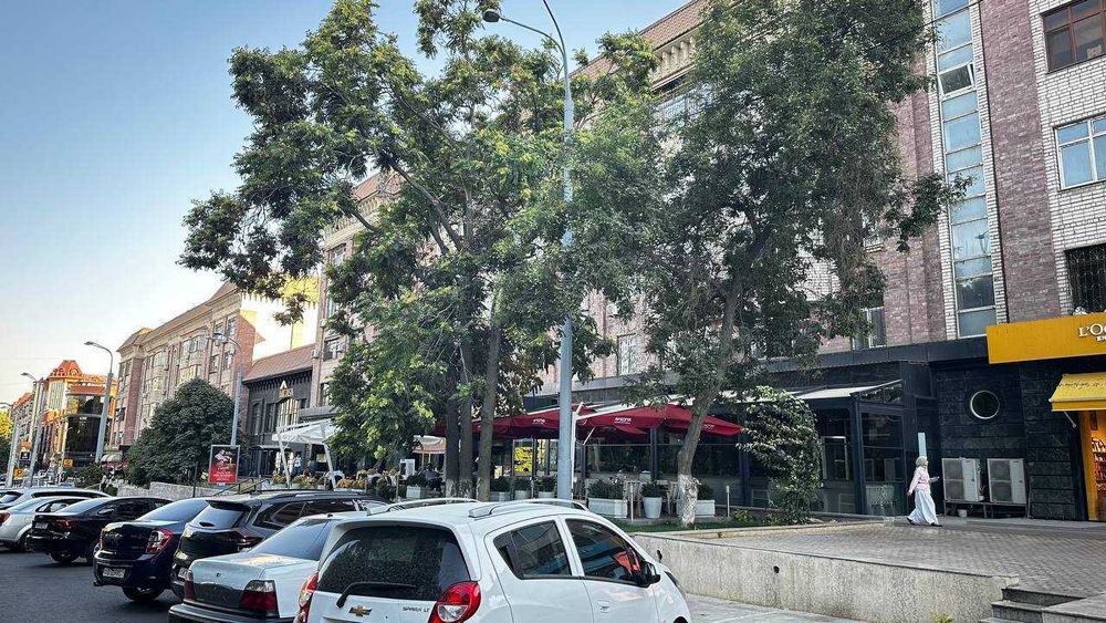 ЖК Gabus, 175 м², 3 комнаты, паркинг, Мирабад