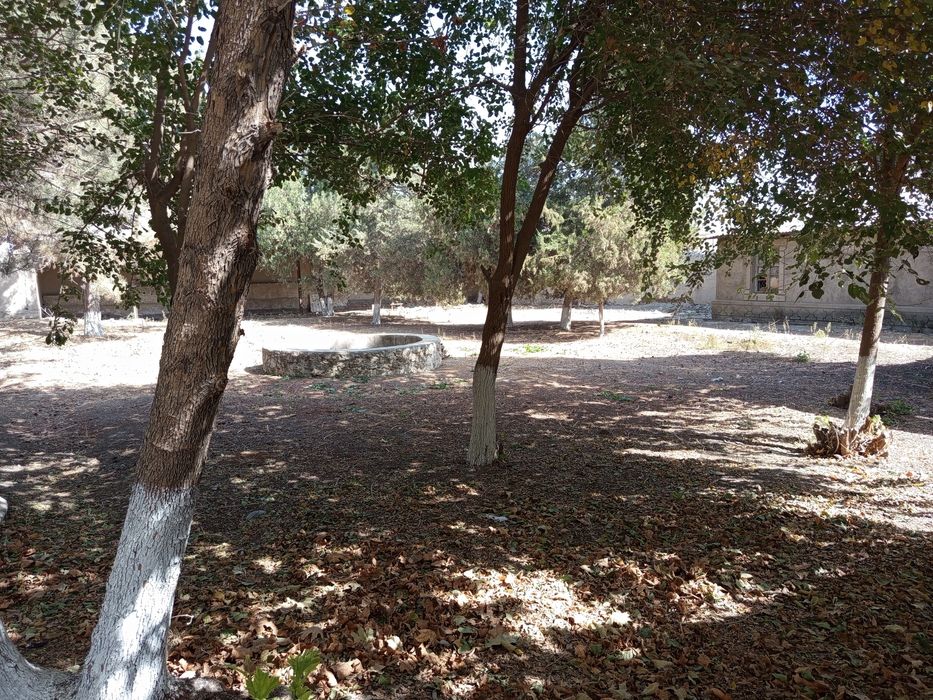 Дом , земельный участок