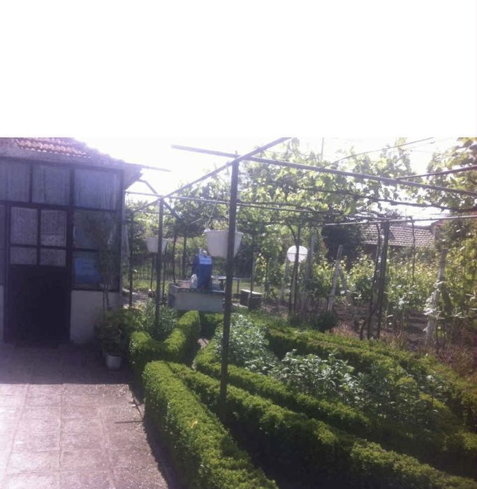 Собственик Продава къща с двор в село Млада Гвардия