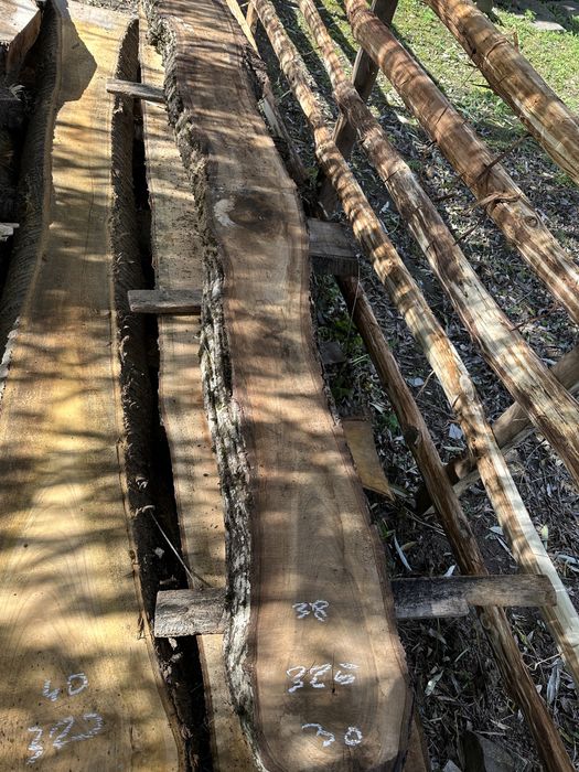 Nuc si cires / blaturi lemn masiv