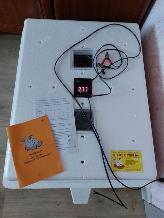 Несушка на 104 куриных яйца