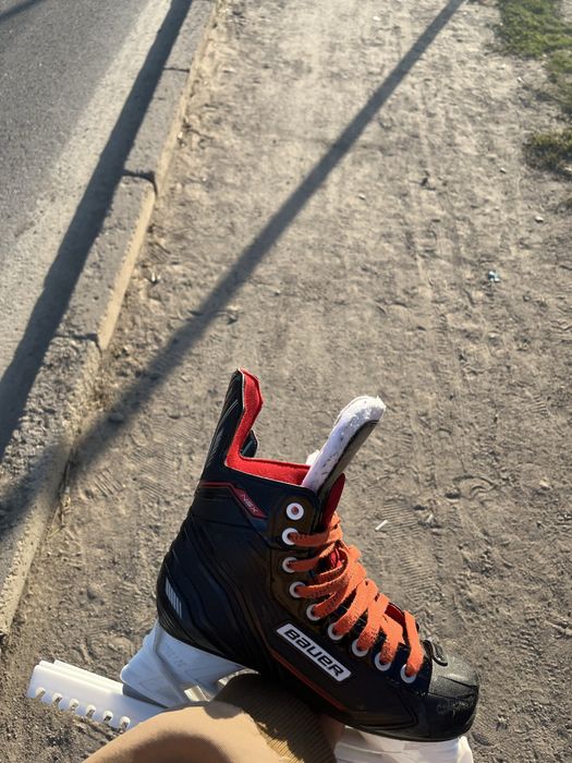 коньки bauer nsx