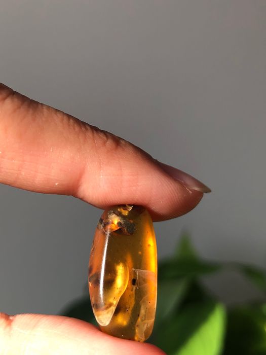 Бирмански кехлибари с включения