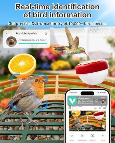 Нова Хранилка с камера за наблюдение на птици 2K, водоустойчива и умна