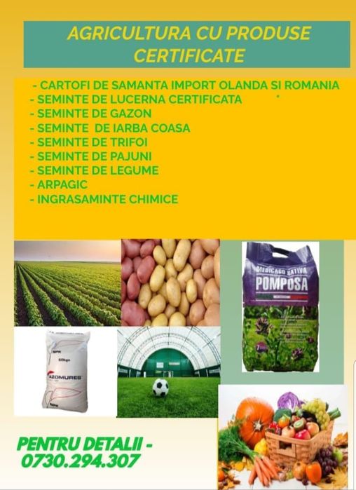 SEMINTE:Cartofi,lucernă,gazon,iarbă de coasă,arpagic,legume