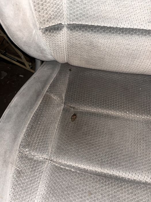 Салон омега б дорест