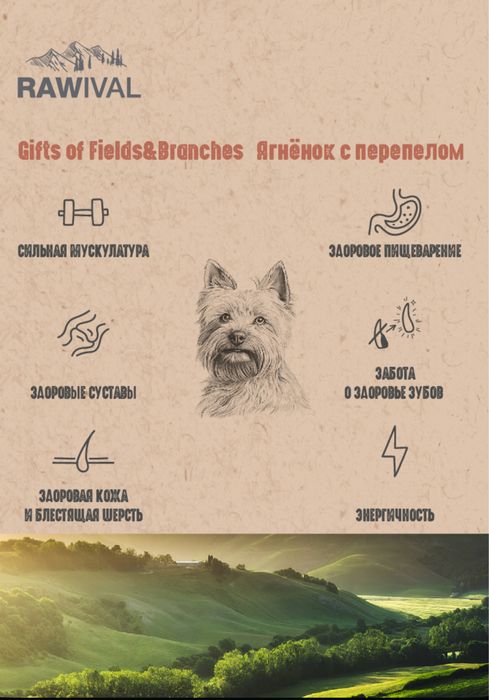 Продам корм для маленьких пород собак