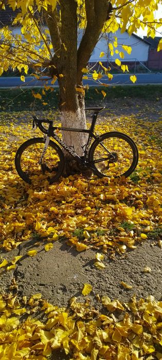 Cursiera parkpre rs900