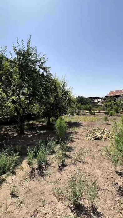 Srochno!!! Arzon narxda yer 3-4 sotix Yangi Qoyliq bozori yaqinida