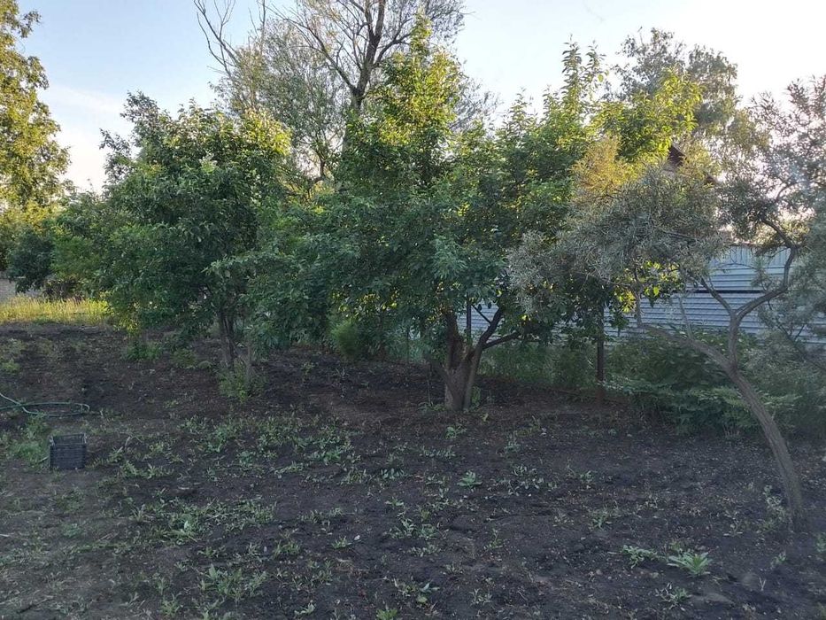 Продам дачный участок