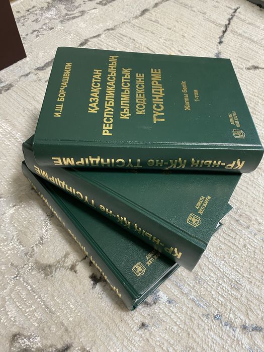 Борчашвилидің қылмыстық кодексіне түсіндірмесі