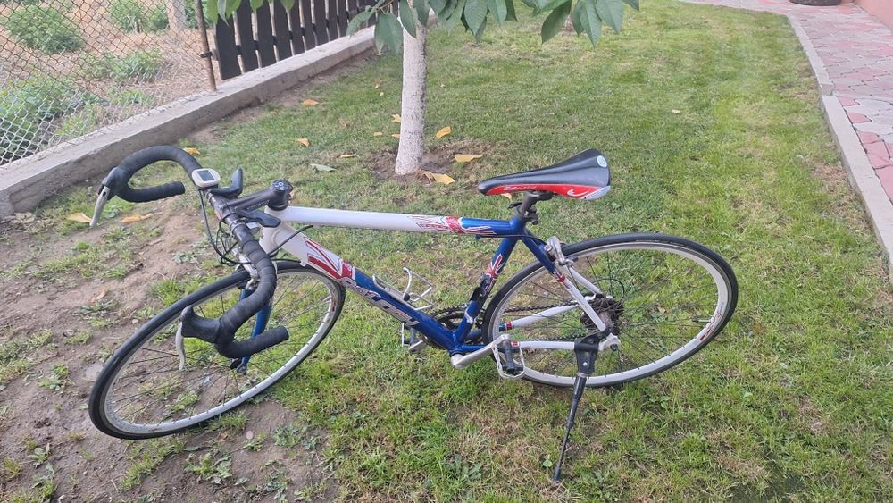 Bicicleta  superba