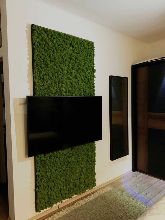 Designuri cu Licheni si muschi decorativi la comanda