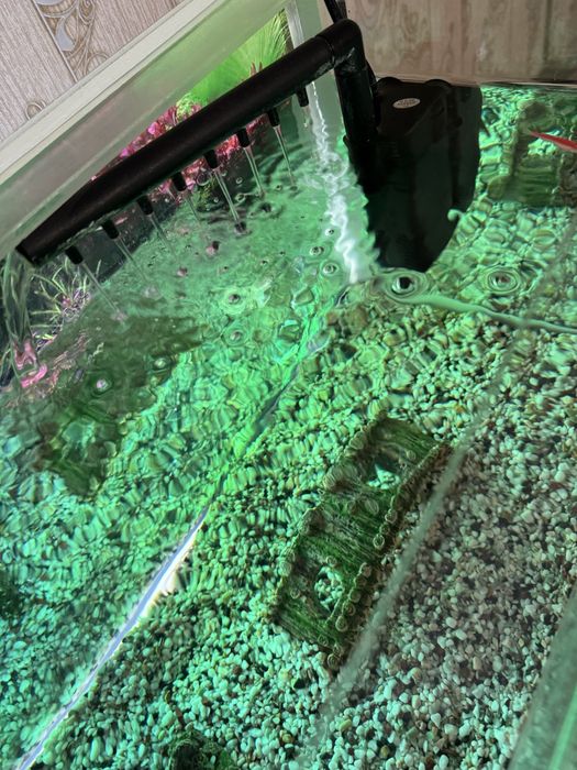 Продам аквариум с рыбками