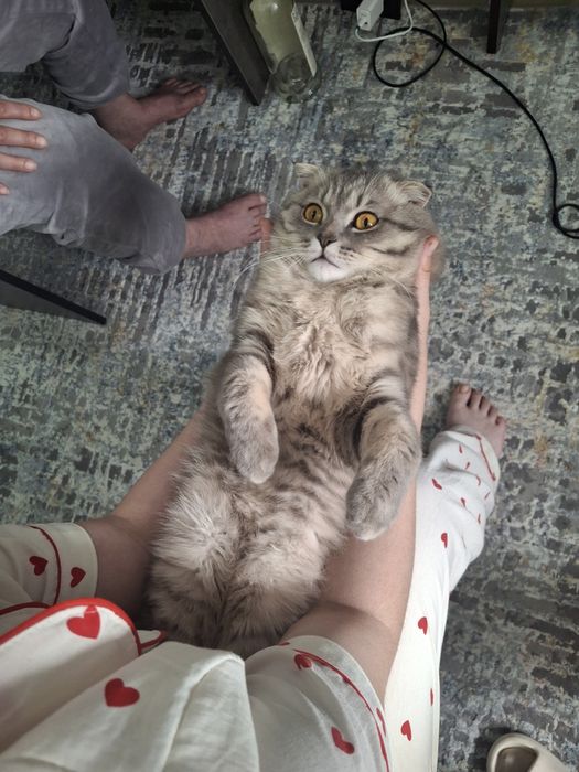 Нам нужна девочка