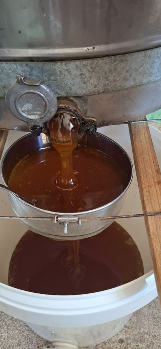 Пчелен мед  лично производство