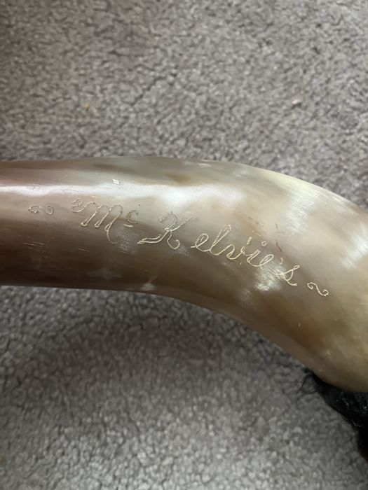 Рога от бик топ