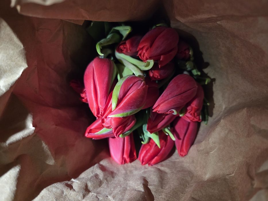 Продаём цветы пионовидные, голландские