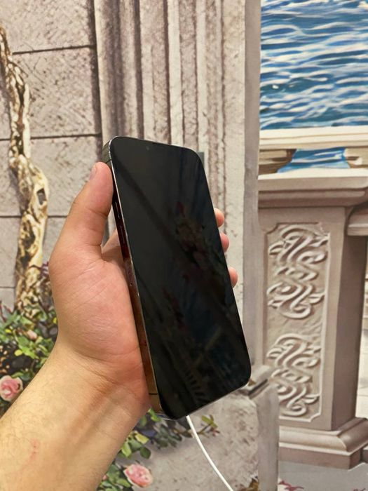 Iphone 13pro max 256gb 79%yomkst