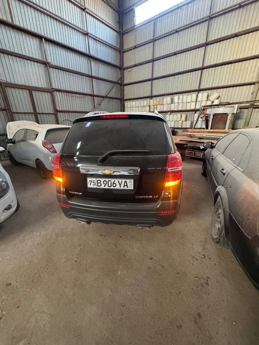 Капиива 4 кора 2018