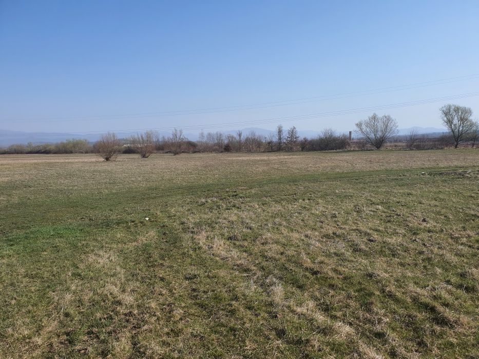 Teren intravilan 4700m2 Culcea periferie, Com. Sacalaseni - parcelabil