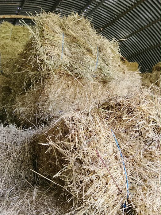 Продавам бали сено