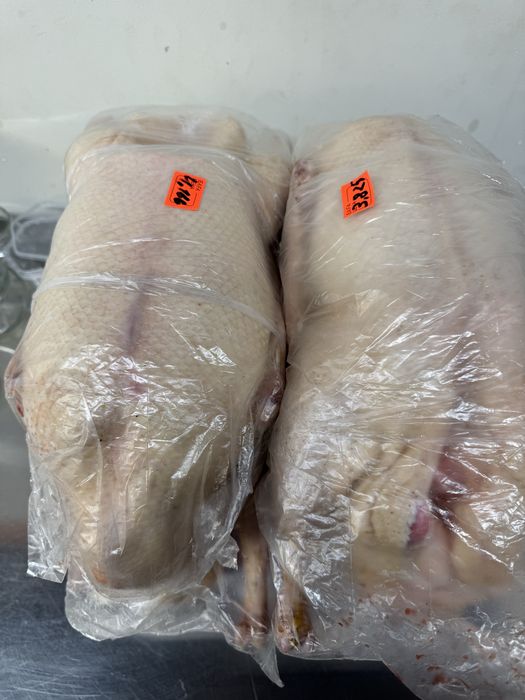 Гуси оптом, қаздар