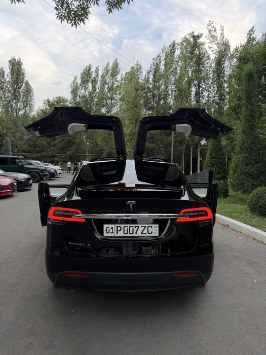 Tesla Model X Perfomance Duall Motor