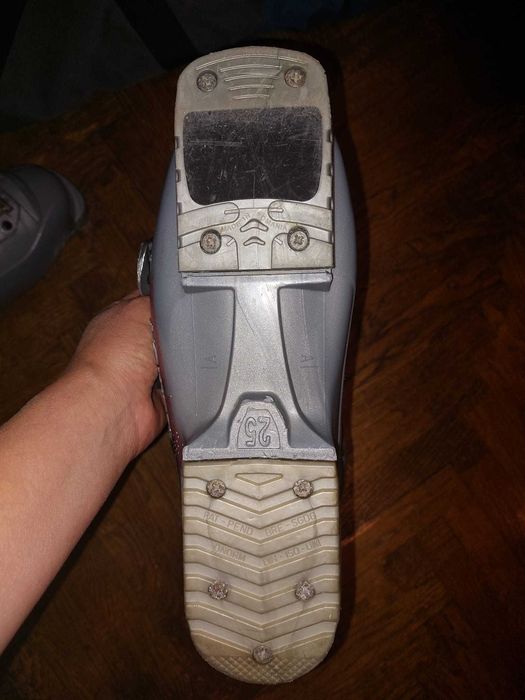 Clapari Salomon de dama (mas. 38) si husa